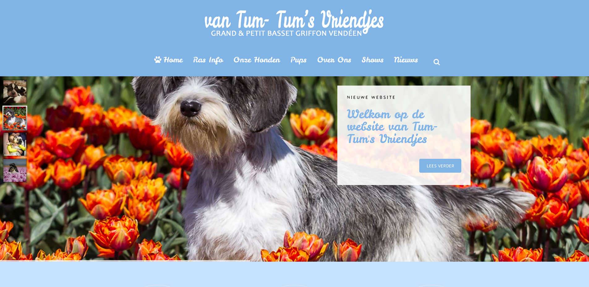 Website project Tum- Tum's Vriendjes